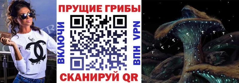 Псилоцибиновые грибы GOLDEN TEACHER  Невьянск 